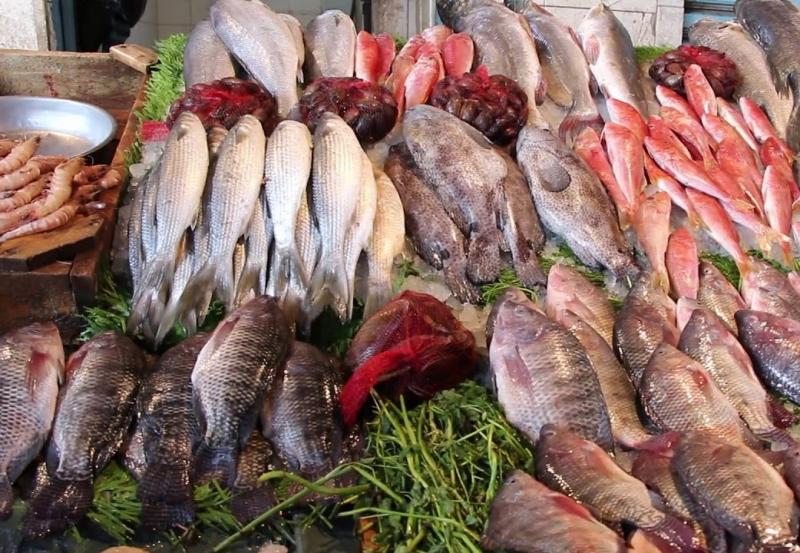 العروبة