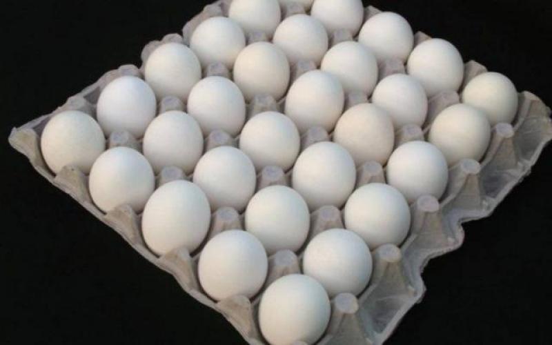 العروبة