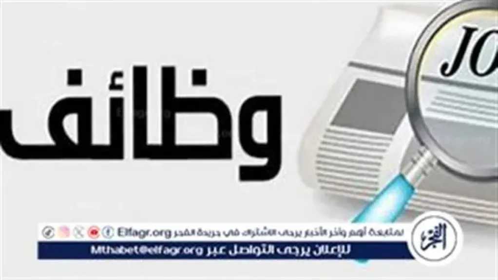 وزارة المالية تعلن عن وظائف قيادية بمصلحة الخزانة العامة وسك العملة: تعرف على الشروط وطريقة التقديم
