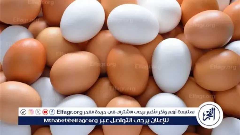 أسعار طبق البيض اليوم الاحد 16-3-2024 في قنا