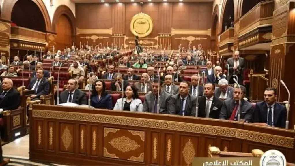 تفاصيل مشاركة وزير الشئون النيابية في مناقشات برامج الحماية الاجتماعية (صور)