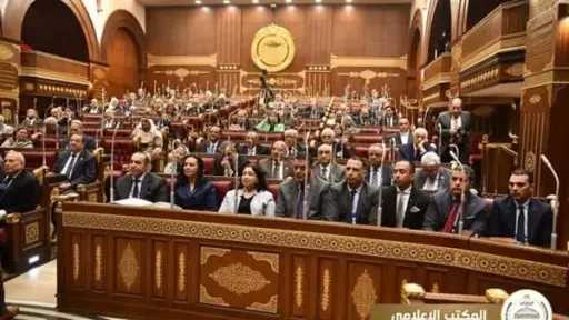 تفاصيل مشاركة وزير الشئون النيابية في مناقشات برامج الحماية الاجتماعية (صور)