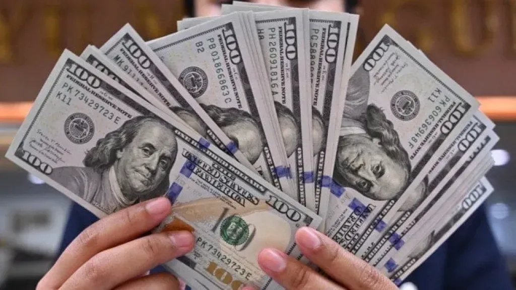 سعر الدولار 