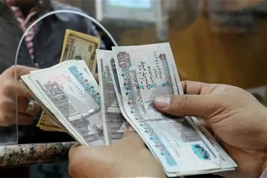 وزارة المالية 