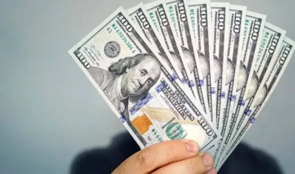 سعر الدولار 