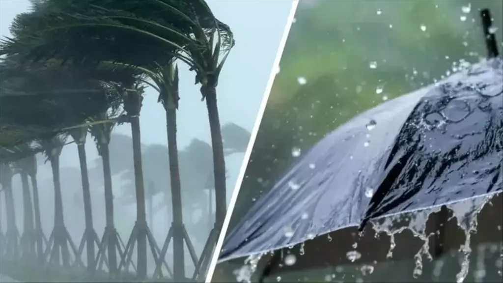 تقلبات جوية حادة.. الأرصاد تكشف حالة الطقس خلال الأيام المقبلة