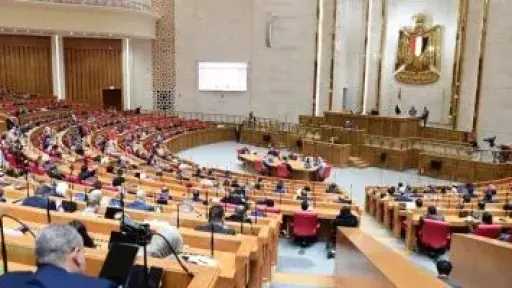 القانون يحدد اختصاصات مراكز تنمية الموارد البشرية فى الجهاز الإدارى للدولة