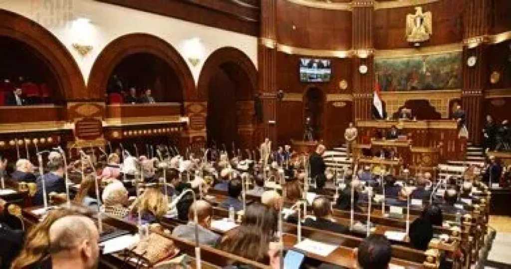 الهيئة البرلمانية للمصري الديمقراطي تهنئ أميرة صابر بإعادة انتخابها في اللجنة الاستشارية للبرلمانيين الشباب