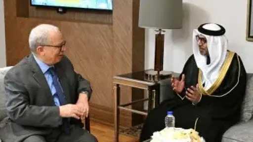 سفير الإمارات بالقاهرة: تم تحقيق شوط كبير فى مسار اتفاقية الشراكة الاقتصادية مع مصر