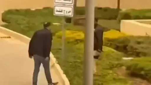 اليوم.. ”الاستئناف” تحدد مصير رجل الأعمال المتهم بالاعتداء على فرد الأمن بالتجمع