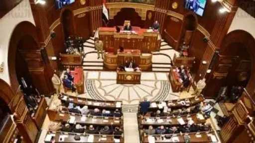 ”تضامن الشيوخ” توصى بإعداد دليل لخدمات الفئات الأولى بالرعاية