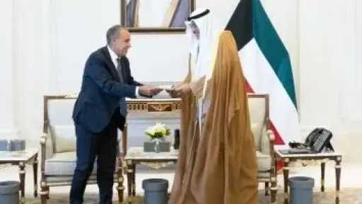 وزير الخارجية يسلم ولى عهد الكويت رسالة خطية من الرئيس السيسى