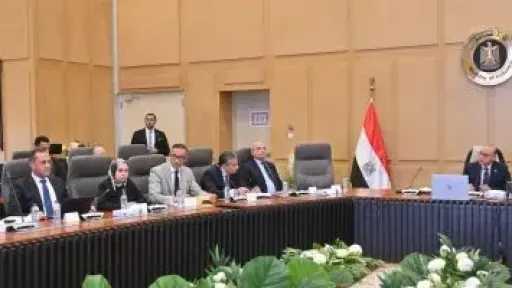 وزير الاستثمار يترأس اجتماع مجموعة العمل المعنية بالعلاقات المصرية الكورية