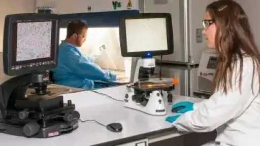 أمل لمرضى السرطان.. ابتكار بكتيريا ذكية تلتهم الورم