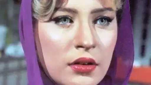 ذكرى رحيل شيرين سيف النصر.. عامان على غياب نجمة التسعينيات