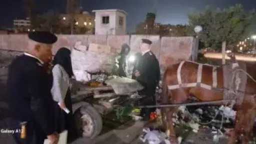 حملات مكثفة لإدارة شئون البيئة ووحدة تنظيم المخلفات بمحافظة الإسماعيلية