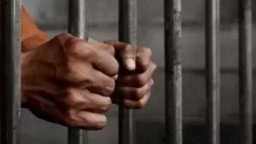 حبس سنة وغرامة مليون جنيه عقوبة إقامة محاجر على أراض زراعية