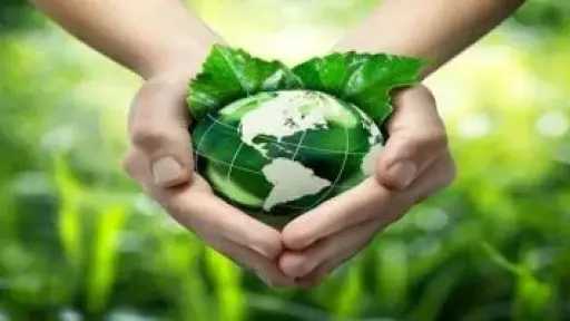 فتح باب التقدم للدورة الـ4 من المبادرة الوطنية للمشروعات الخضراء بالإسكندرية