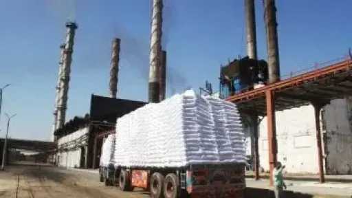 مصانع كوم أمبو تستعد لختام موسم الذهب الأبيض.. نجاح إنتاج السكر من القصب يعزز الأمن الغذائى