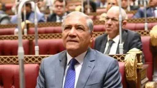 ذكرى تحرير سيناء.. عفت السادات: واحدة من أعظم محطات الكرامة الوطنية