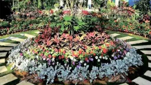 معرض الزهور في دورته الـ93 يمثل احتفالية بالجمال والطبيعة في قلب القاهرة