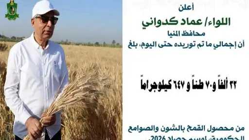 محافظ المنيا: شون وصوامع المحافظة تستقبل 32 ألف طن من القمح