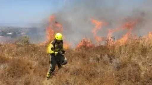 إجلاء نحو 3000 شخص مع استمرار حرائق الغابات باليابان لليوم الرابع تواليا