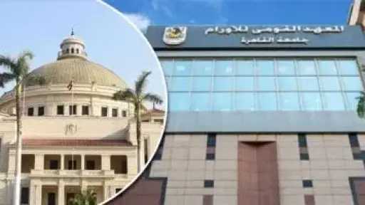 معهد الأورام يدق ناقوس الخطر.. اتباع مرضى السرطان للعلاجات البديلة والعشبية من السوشيال ميديا يرفع معدل الوفاة ويسبب فشلا كلويا