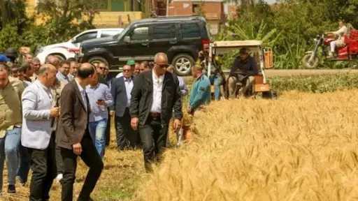 محافظ كفر الشيخ يطلق موسم حصاد القمح