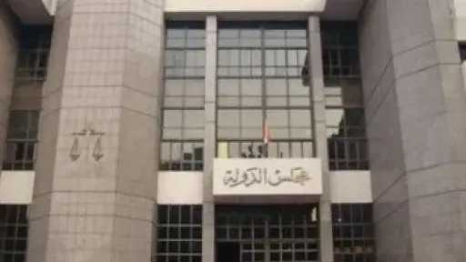 دعوى قضائية تطالب بتأسيس «المجلس القومى للرجل» أمام القضاء الإدارى