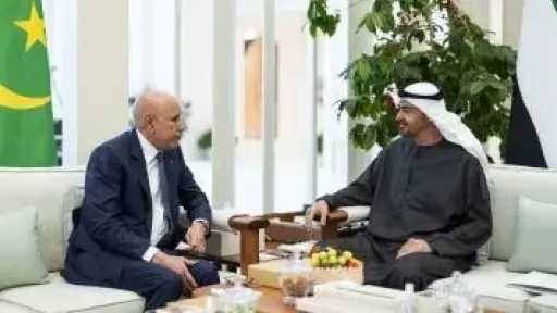 الإمارات وموريتانيا تبحثان تعزيز التعاون وتطورات الأوضاع بالمنطقة
