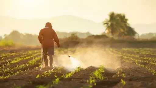 ”الزراعة” تحذر من تداول كتب مزيفة منسوبة للجنة مبيدات الآفات الزراعية