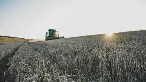 ارتفاع أسعار الأسمدة بسبب حرب إيران يهدد الإنتاج الغذائي العالمي