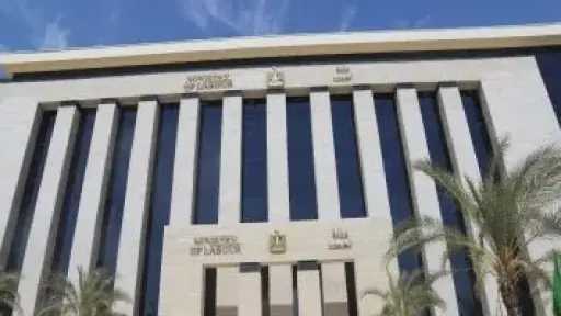 1200 فرصة عمل في تخصصات مختلفة براتب 9000 جنيه