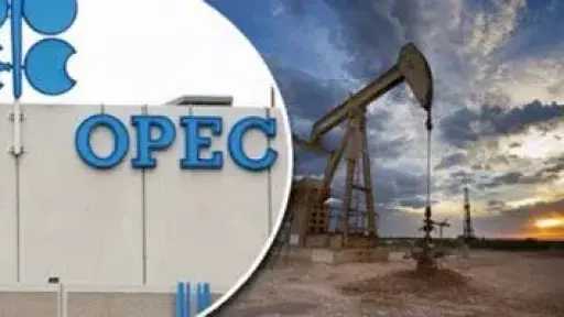 أستاذ اقتصاد: خروج الإمارات من أوبك قرار استراتيجي لرفع قدراتها الإنتاجية