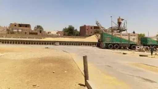 تموين الدقهلية تحدد 36 موقعا تخزينيا بسعة 290,870 طنًا لاستقبال القمح