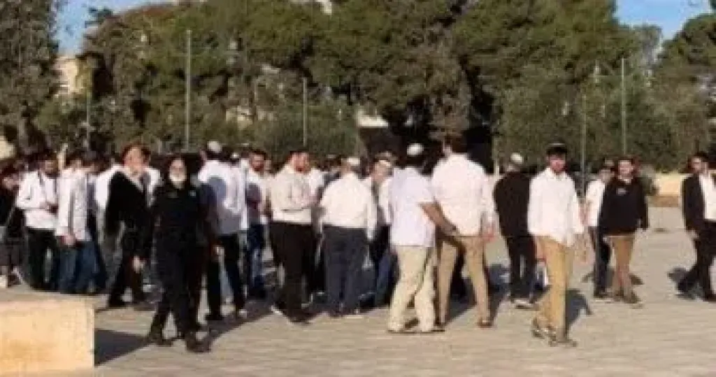 ك