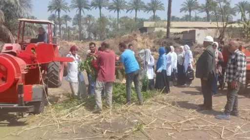 جامعة القاهرة تدشن وحدة متخصصة لتدوير المخلفات الزراعية بكلية الزراعة