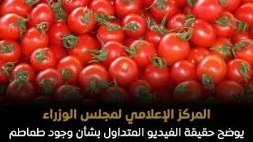 الحكومة توضح حقيقة فيديو متداول بوجود طماطم بالأسواق تم رشها بالإثيريل