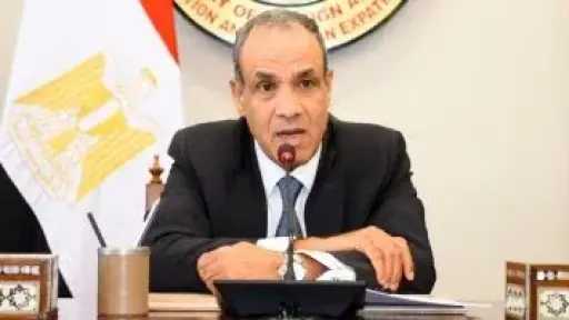 وزير الخارجية يؤكد تضامن مصر مع مالي ويجدد إدانة الهجمات الإرهابية