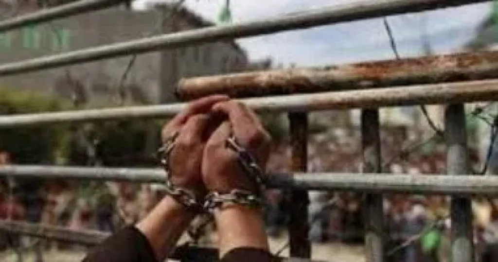 م