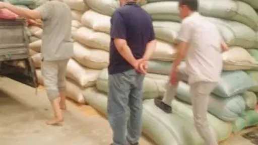 توريد 53,758 طن قمح بأسيوط منذ بدء الموسم وحصاد 45 ألف فدان