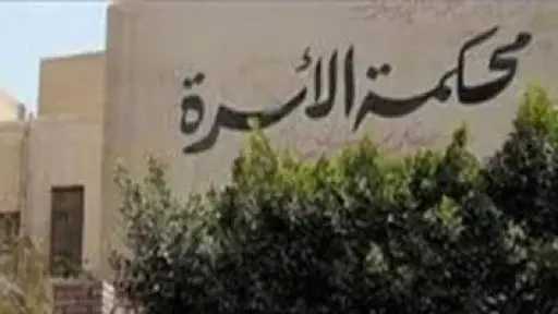سن الحضانة فى مشروع قانون الأسرة الجديد..ومتى يحق للطفل الاختيار