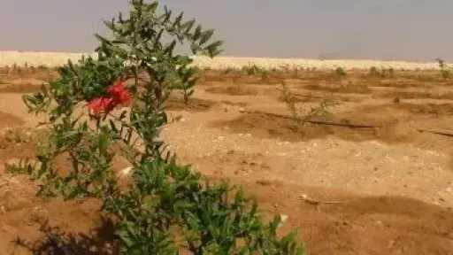 145 ألف طلب جديد لتقنين أراضى الدولة عبر المنصة الوطنية