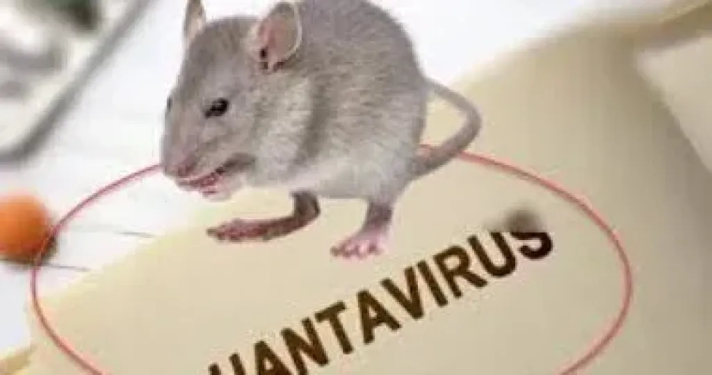 ك