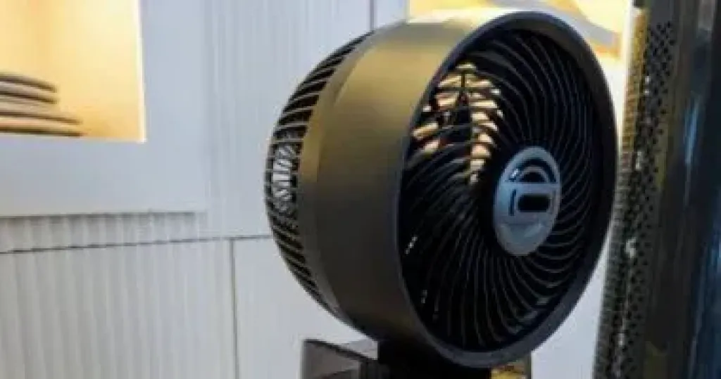 د