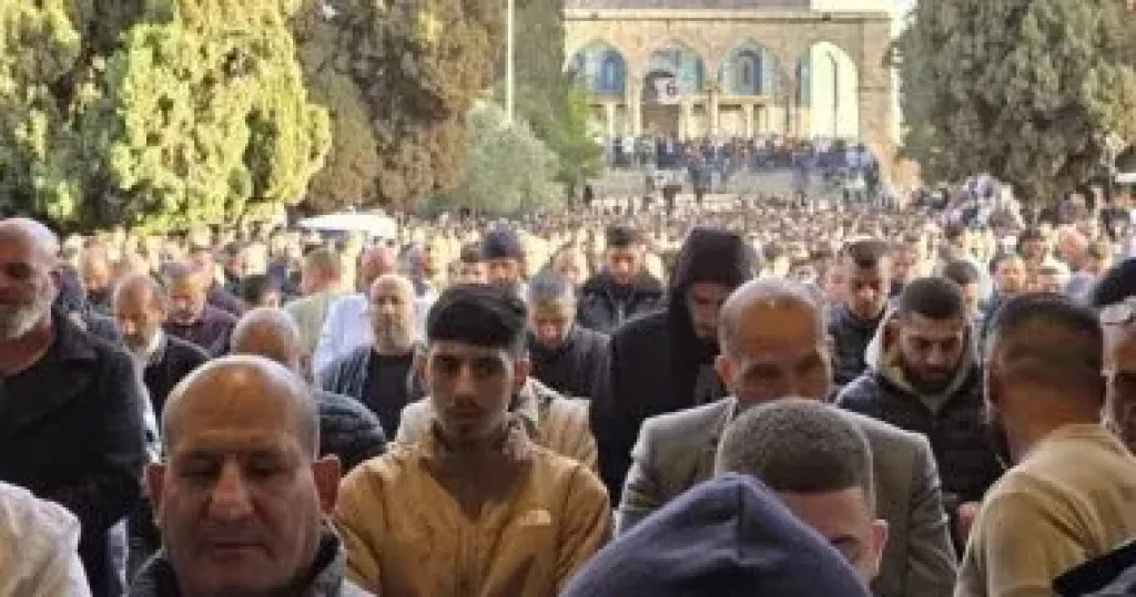 م