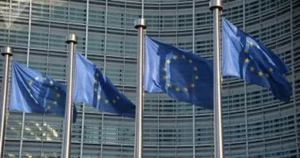 د