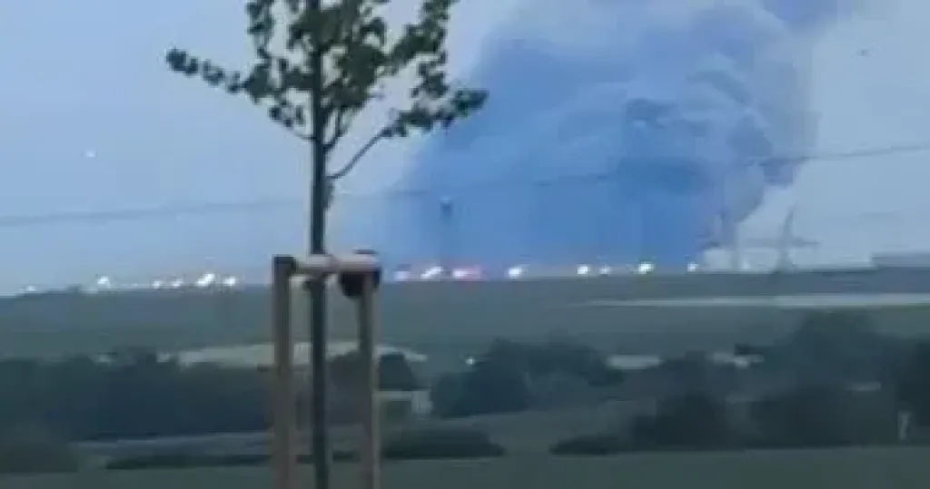 د