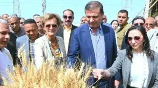 وزير الزراعة ومحافظ البحيرة يشهدان حصاد القمح بمركز دمنهور